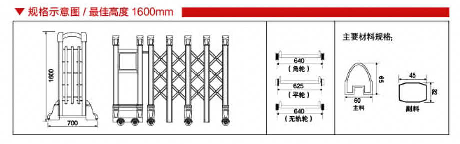 靚麗五號.png